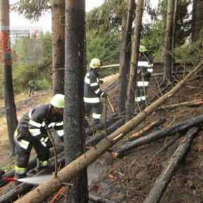 9 Einsätze13 Übungen5 Veranstaltungen